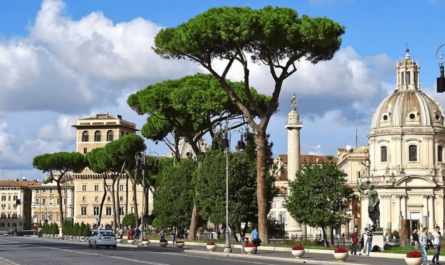 Rome in Spring